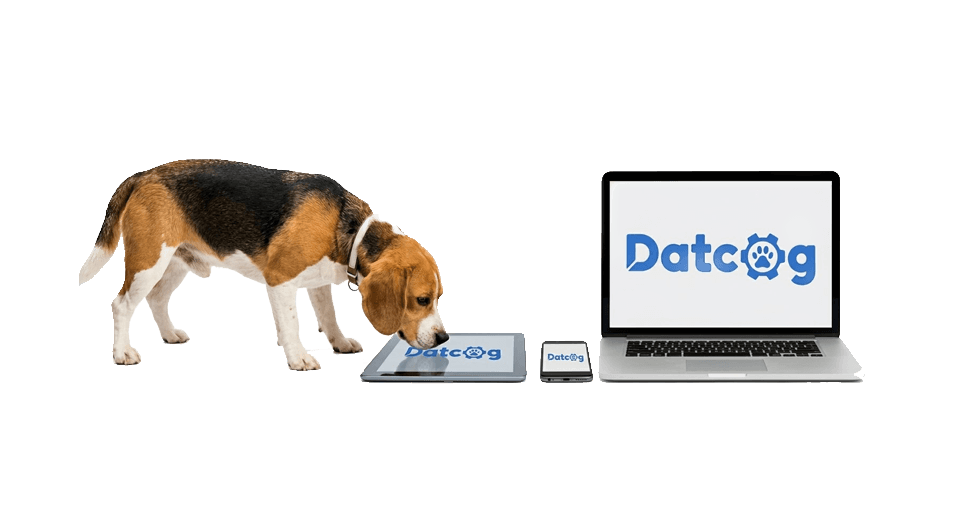 Beagle-DatCog payments and operations